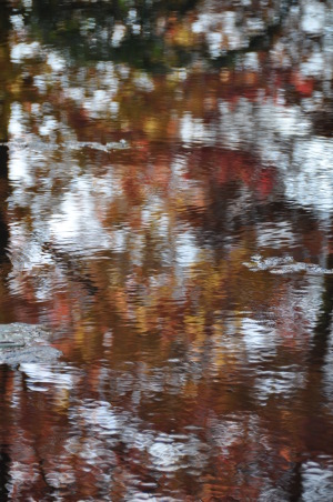 reflets d'automne à Giverny