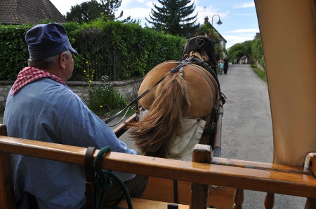 Promenade en calèche à cheval à Giverny