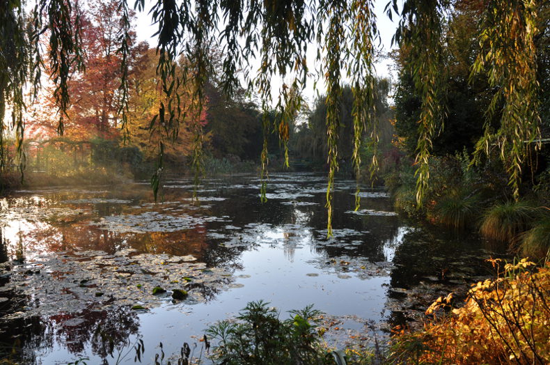 Novembre dans le calendrier DuMont de Giverny 2015 - Bassin de Monet à Giverny