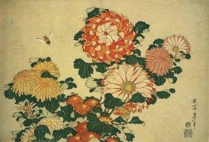 Chrysanthèmes et abeille, Hokusai, 1830