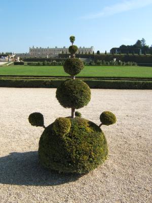 If taillé dans le parc du château de Versailles