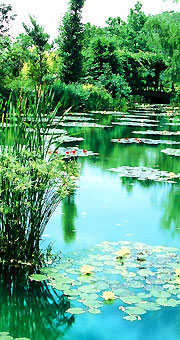 Copie des jardins de Monet au Japon