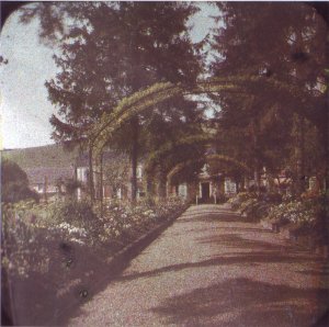 La grande allée du jardin de Monet, photo Etienne Clémentel