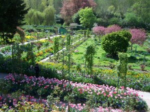 jardin de Monet à Giverny