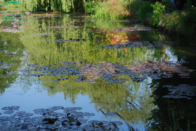 Giverny, bassin de Monet