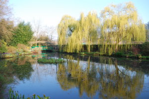 L'étang de Monet, début de printemps