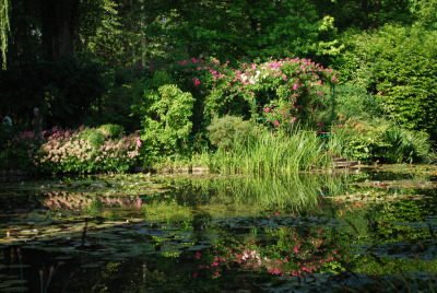 Giverny, jardin d'eau