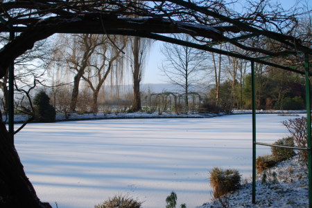 Le jardin de Monet en hiver
