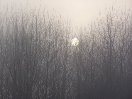 Lever de soleil hivernal à Giverny