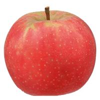 La pomme Ariane