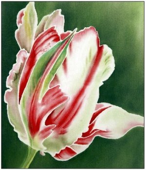 Tulipe perroquet, peinture sur soie, Tessa Spanton