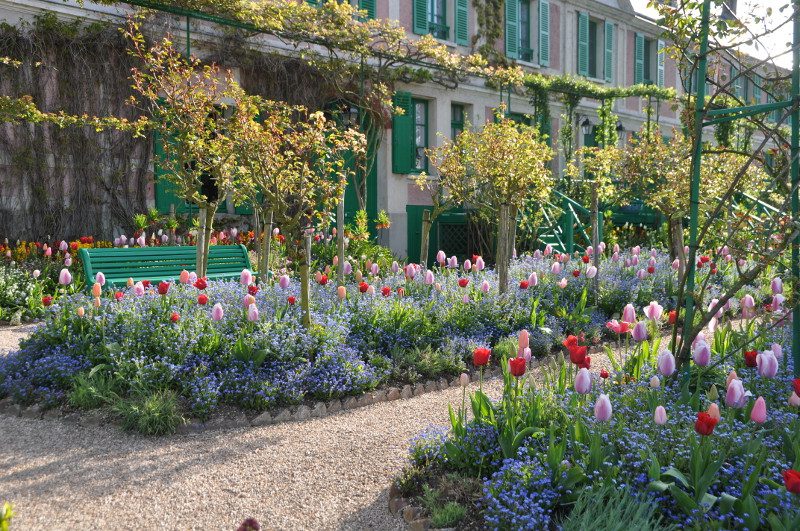 La maison de Monet à Giverny, massif de myosotis et tulipes