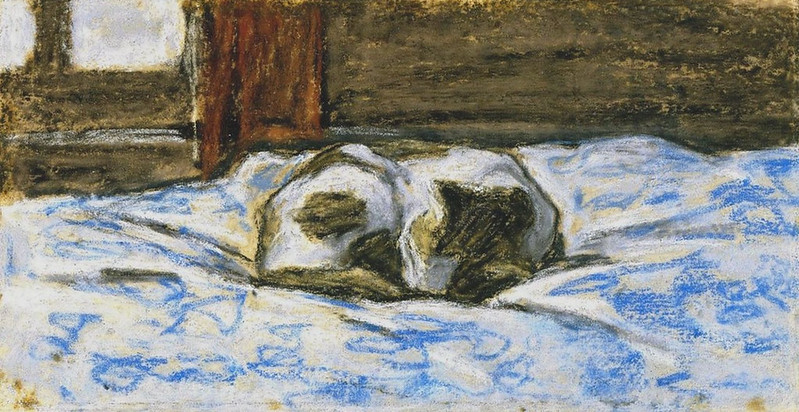 Un chat chez Monet