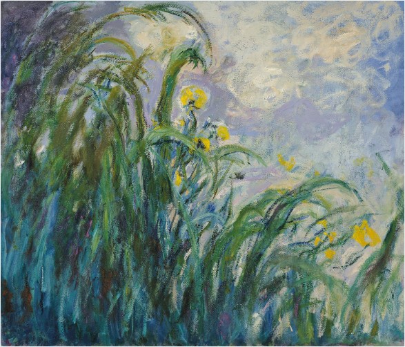 Les Iris jaunes de Monet