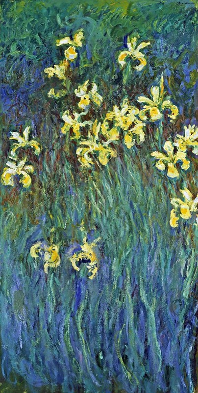 Les Iris jaunes de Monet