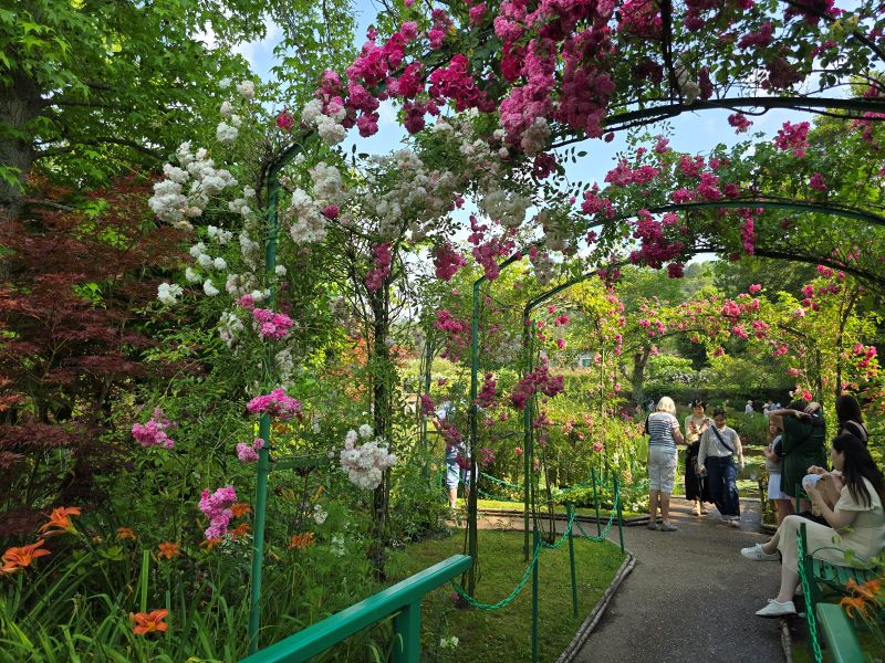 Itinéraire bis dans les jardins de Monet