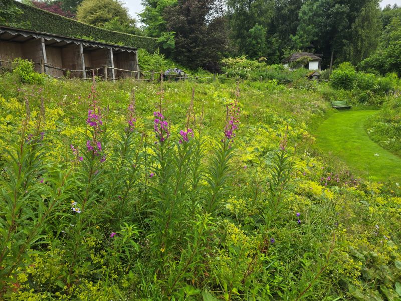 Le jardin de Berchigranges