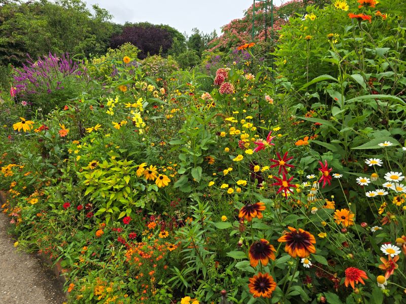 Giverny cet été