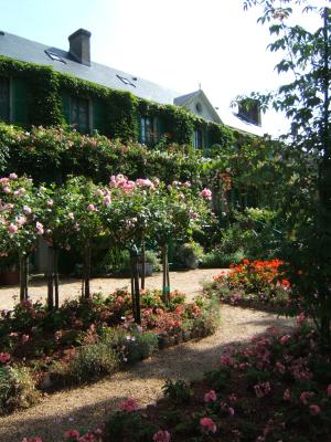 massif de géraniums et de roses dans les jardins de Monet à Giverny