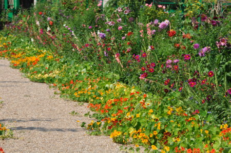 Allée principale du jardin de Monet, Giverny