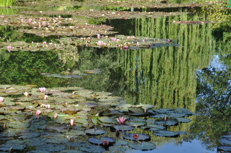 Nympheas, Giverny