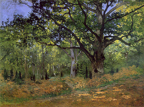 Un Chêne au Bas-Bréau, Claude Monet, 1865, Métropolitan Museum of Art, New York