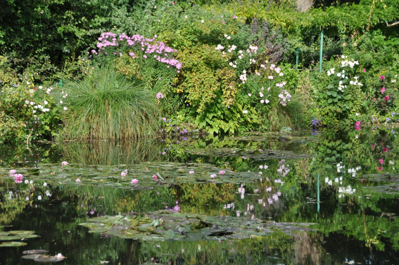 Bassin de Monet à Giverny