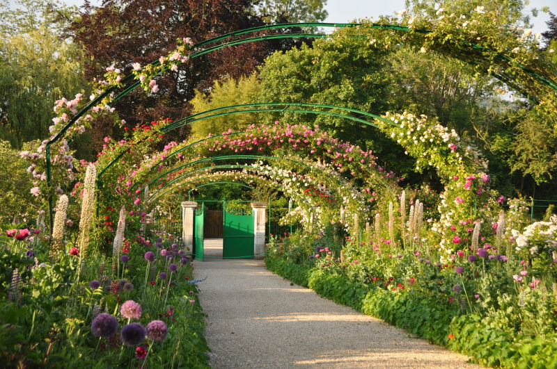 Grande allée du jardin de Monet, les arceaux aux roses