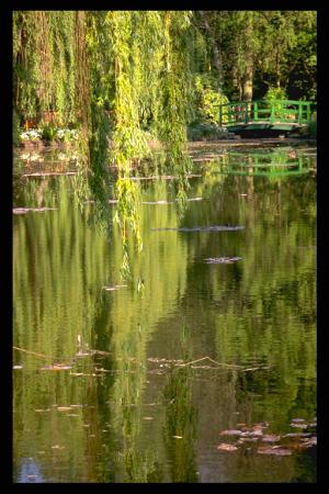 Le jardin japonais de Monet