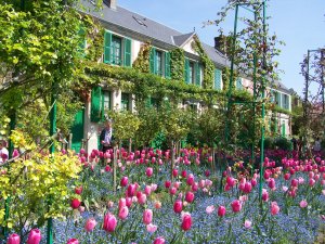 Parterre de tulipes et myosotis devant la maison de Monet à Giverny