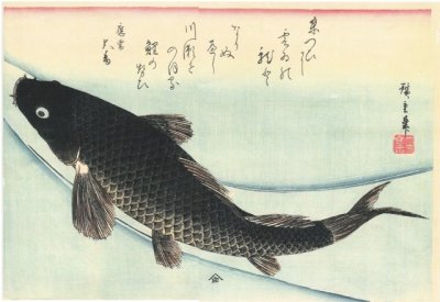 La carpe, Hiroshige