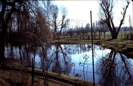 Le jardin de Monet en 1961
