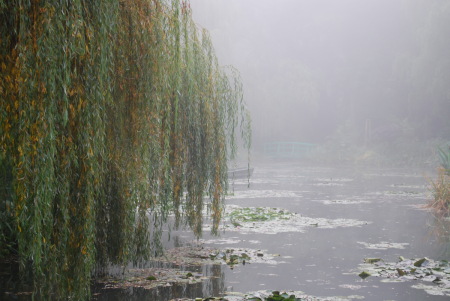 Brume à Giverny
