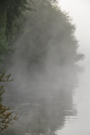 Brume matinale sur la Seine