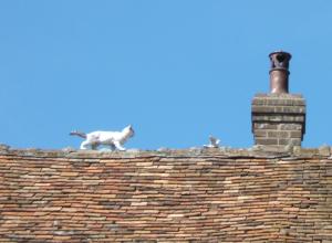 chat et pigeon de céramique sur un toit des Andelys