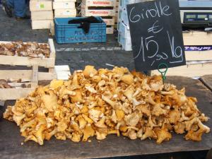 girolles sur un marché de Normandie, France